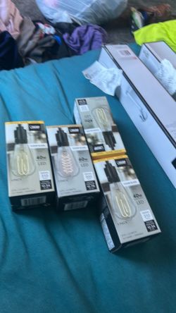 Light bulbs five dollars each
