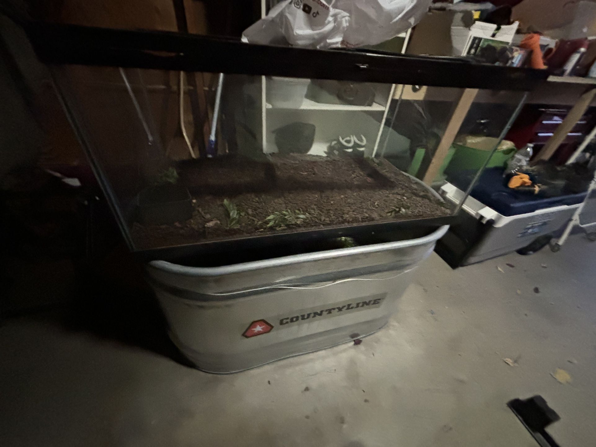 Reptile Tank