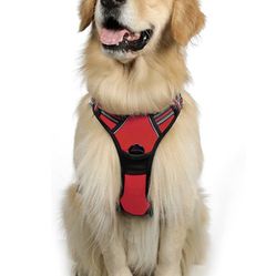 Rabbitgoo Dog Harness, No-Pull Pet Harness With 2 Leash Clips, Adjustable Soft Padded Dog Vest, Reflective No-Choke Pet Oxford Vest With Easy Control 