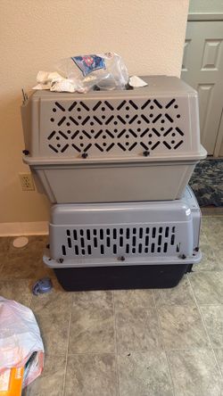 Medium kennels