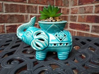 Elephant with cactus