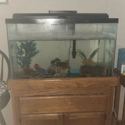 Fish Tank 