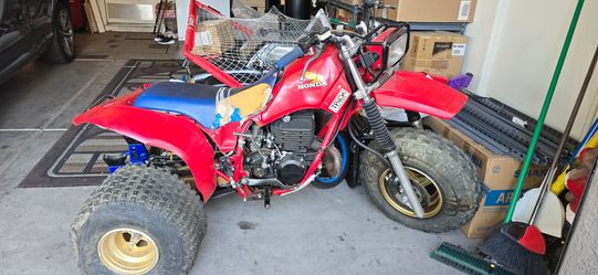 1984 Honda AT250 3 Wheeler