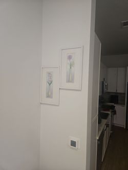 White frame