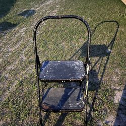 2 Step Stool 