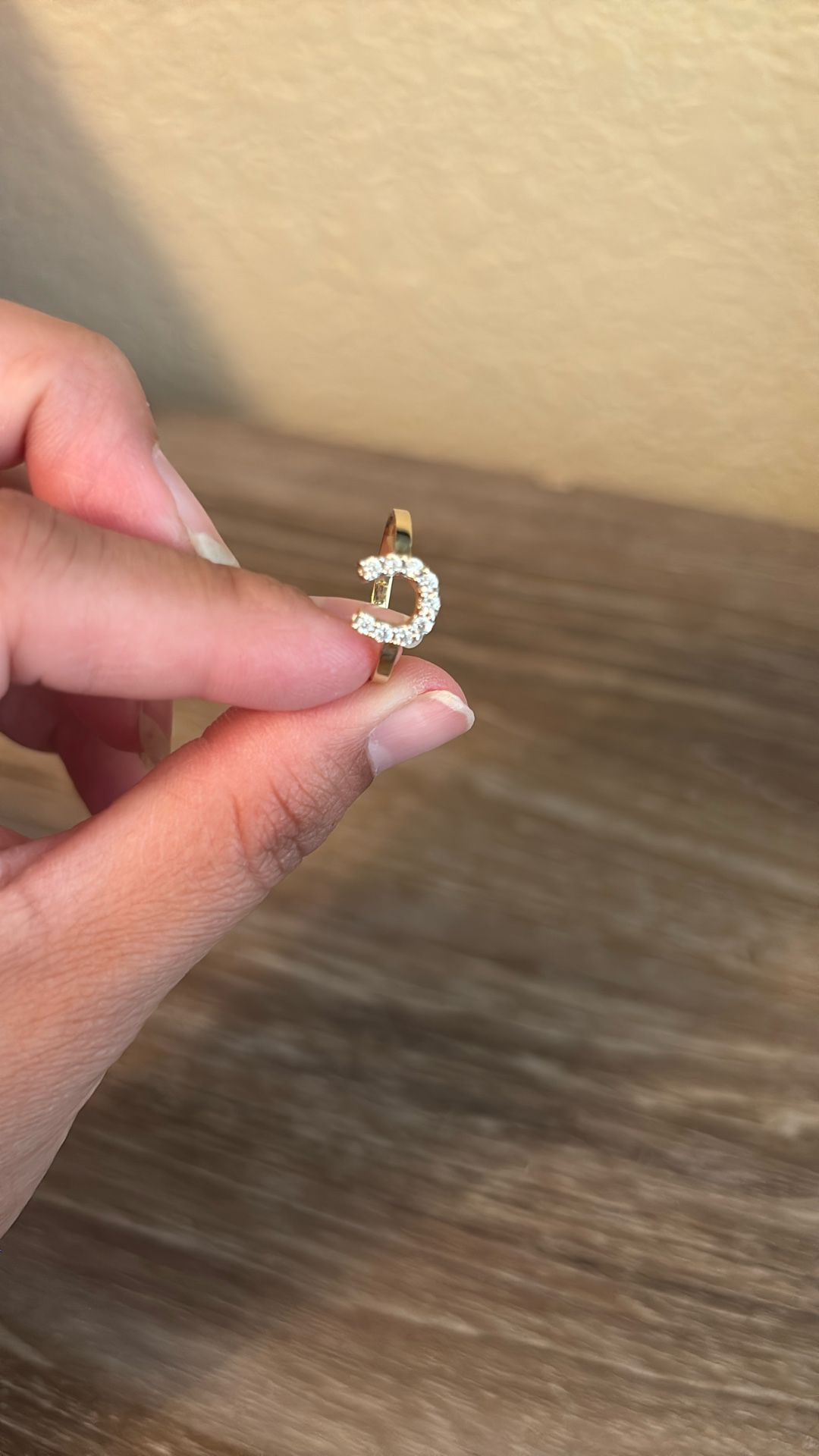 Horseshoe Ring