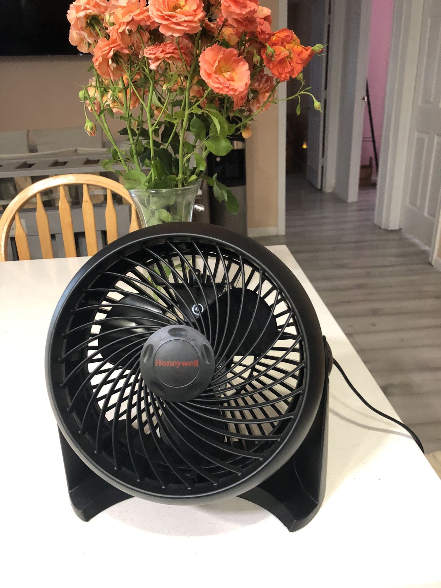 New Fan 