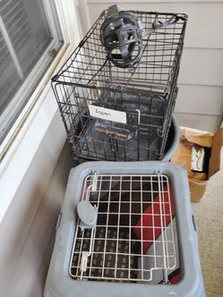 Pet care