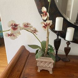 Faux Orchids 
