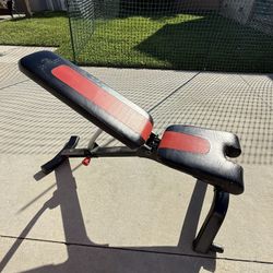 BowFlex Adjustable Weight Bench W Wheels 