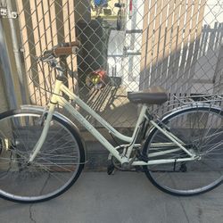 Schwinn Beach Cruiser