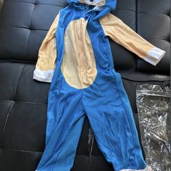 Sonic Costume