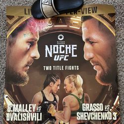 UFC 306 Poster