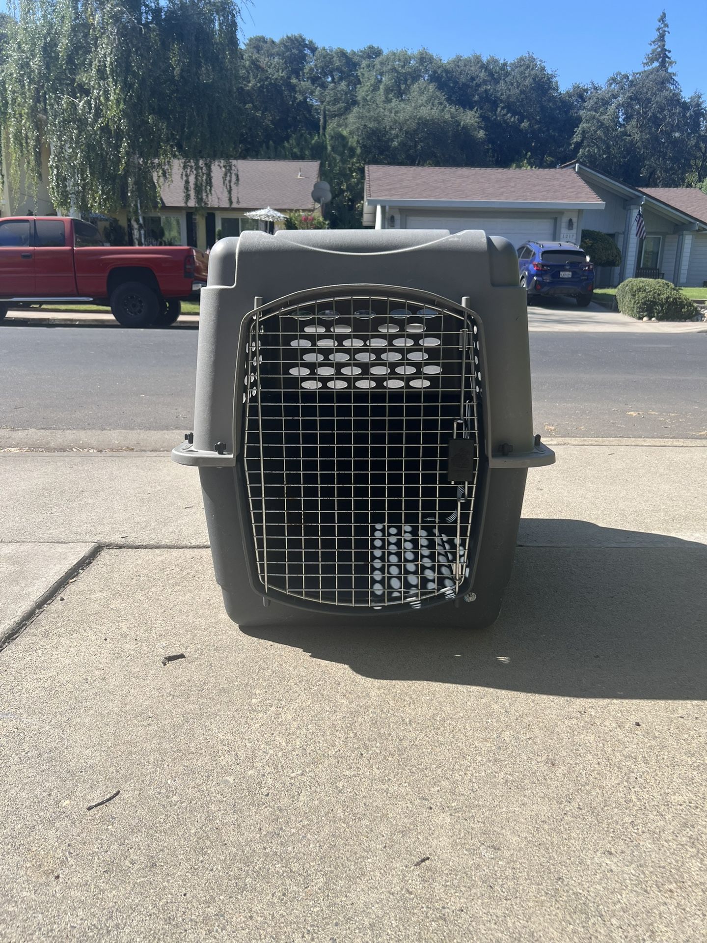 Large Dog Crate Used