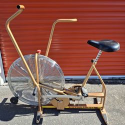 SCHWINN AIR-DYNE Exercise Bike