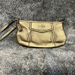 Coach Clutch Platinum