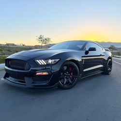 2016 Mustang Shelby GT350R