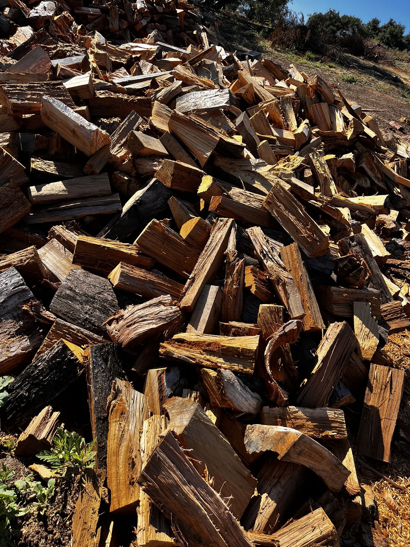 Firewood 
