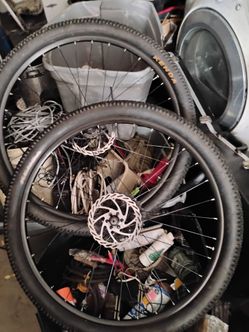 Bike rims 29in