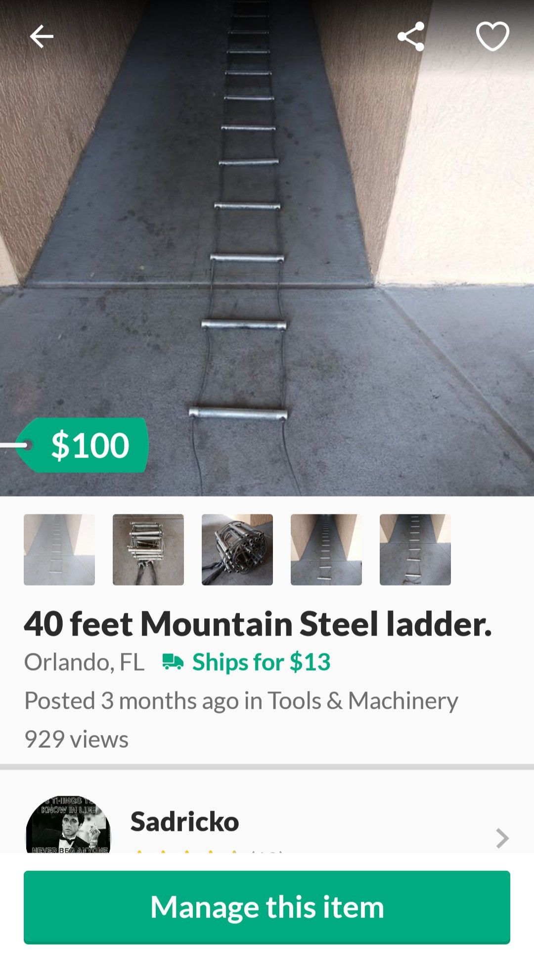40 feet Mountain Steel ladder.