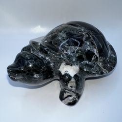 Large Zebra Jasper Turtle 