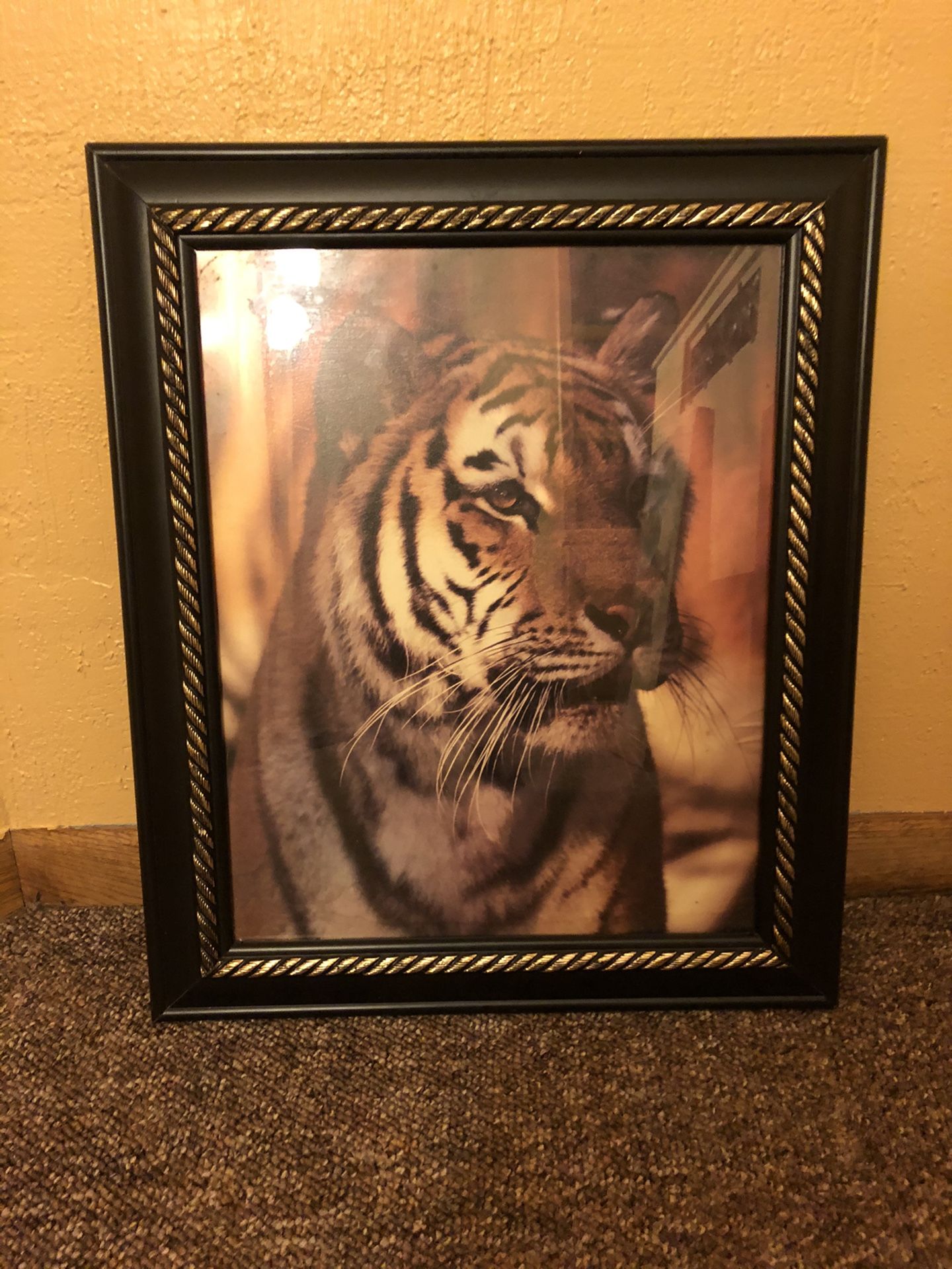 Big Tiger Picture