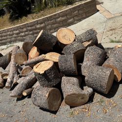 Free Firewood Today! 