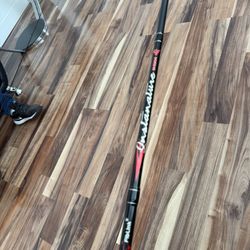 fishing rod 