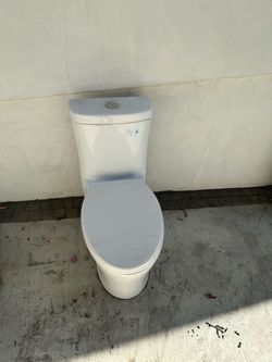 Stallion toilet