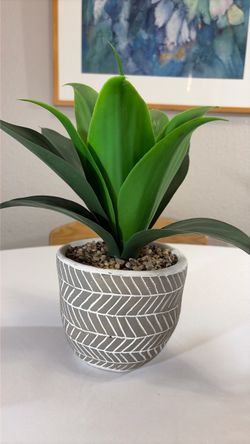 Faux Agave Succulent in Grey Herringbone Ceramic Pot