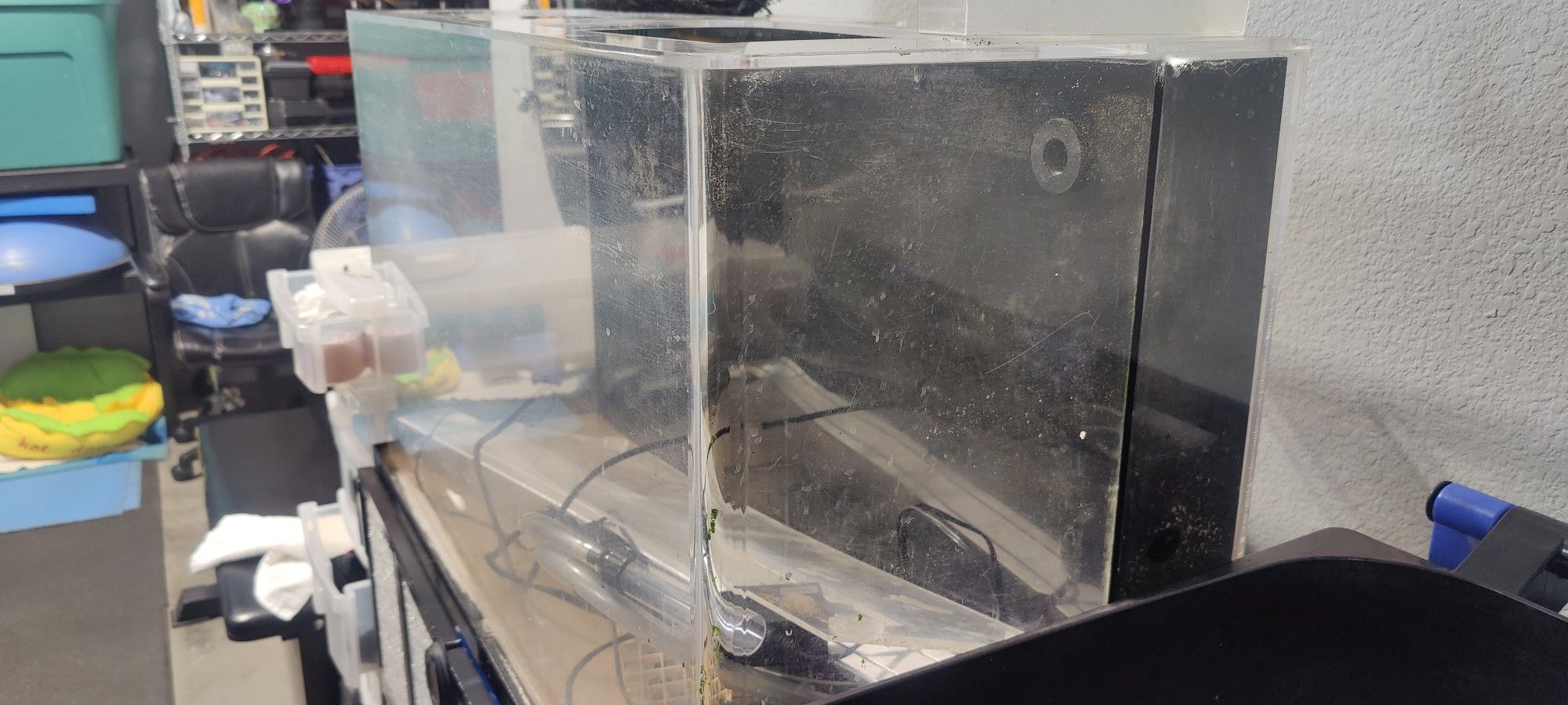 Acrylic Fish Tank