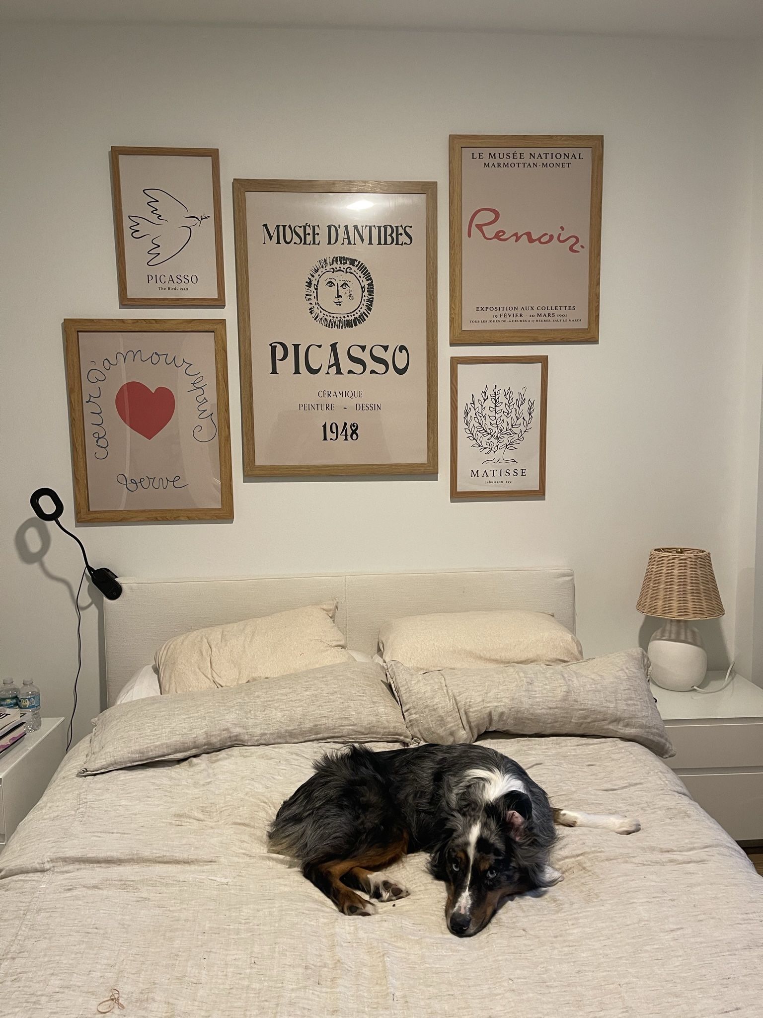 Set of 6 Framed Art Prints β Picasso, Matisse & Renoir