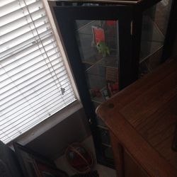 Black Vtg Curio Cabinet W Glads Shelves Damaged At Bottom