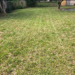 Lawn Cut 