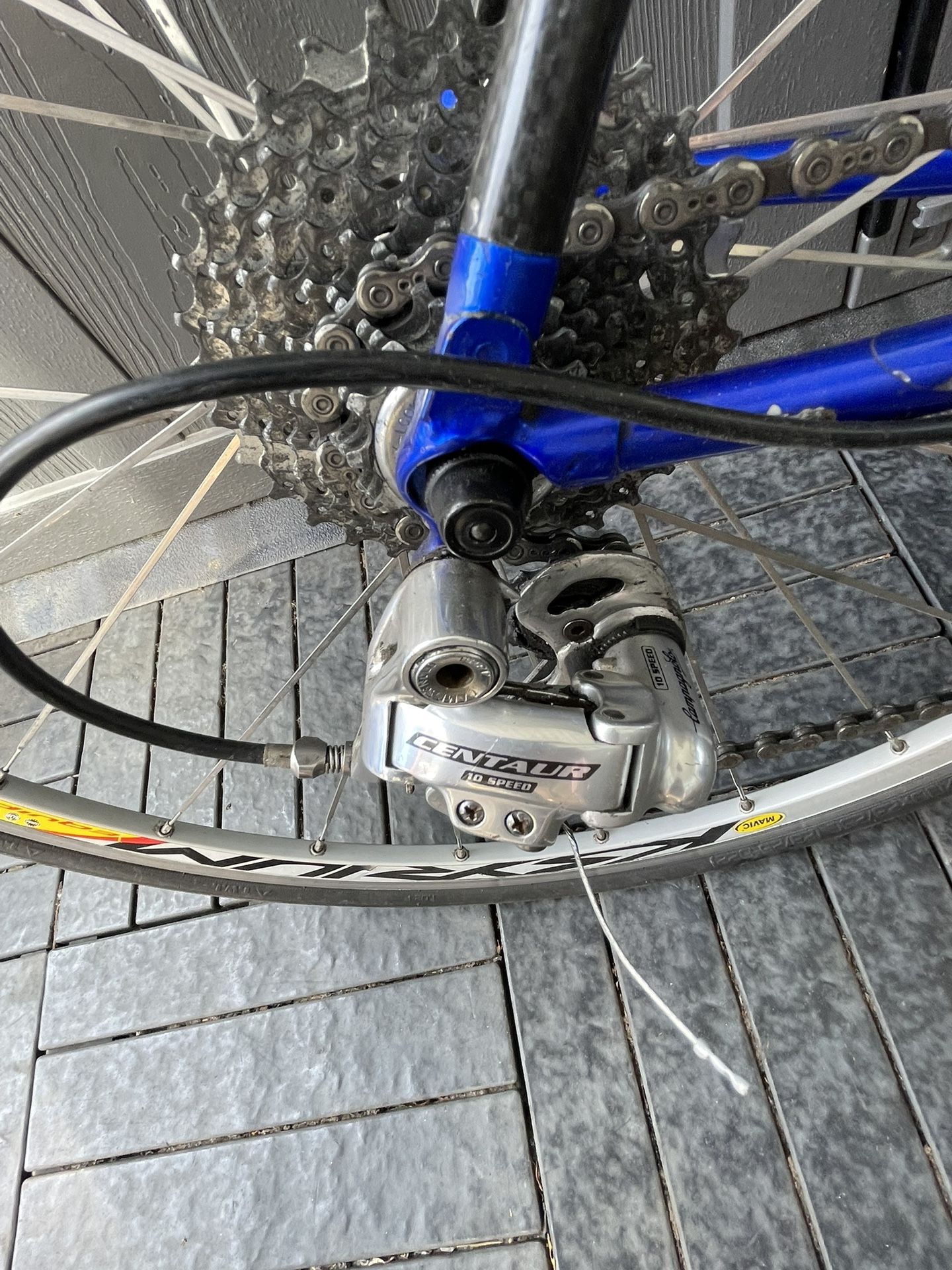 Jamis Carbon Fiber Campagnolo $450 Bikes & Cycling