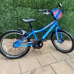Boys Bike 20’
