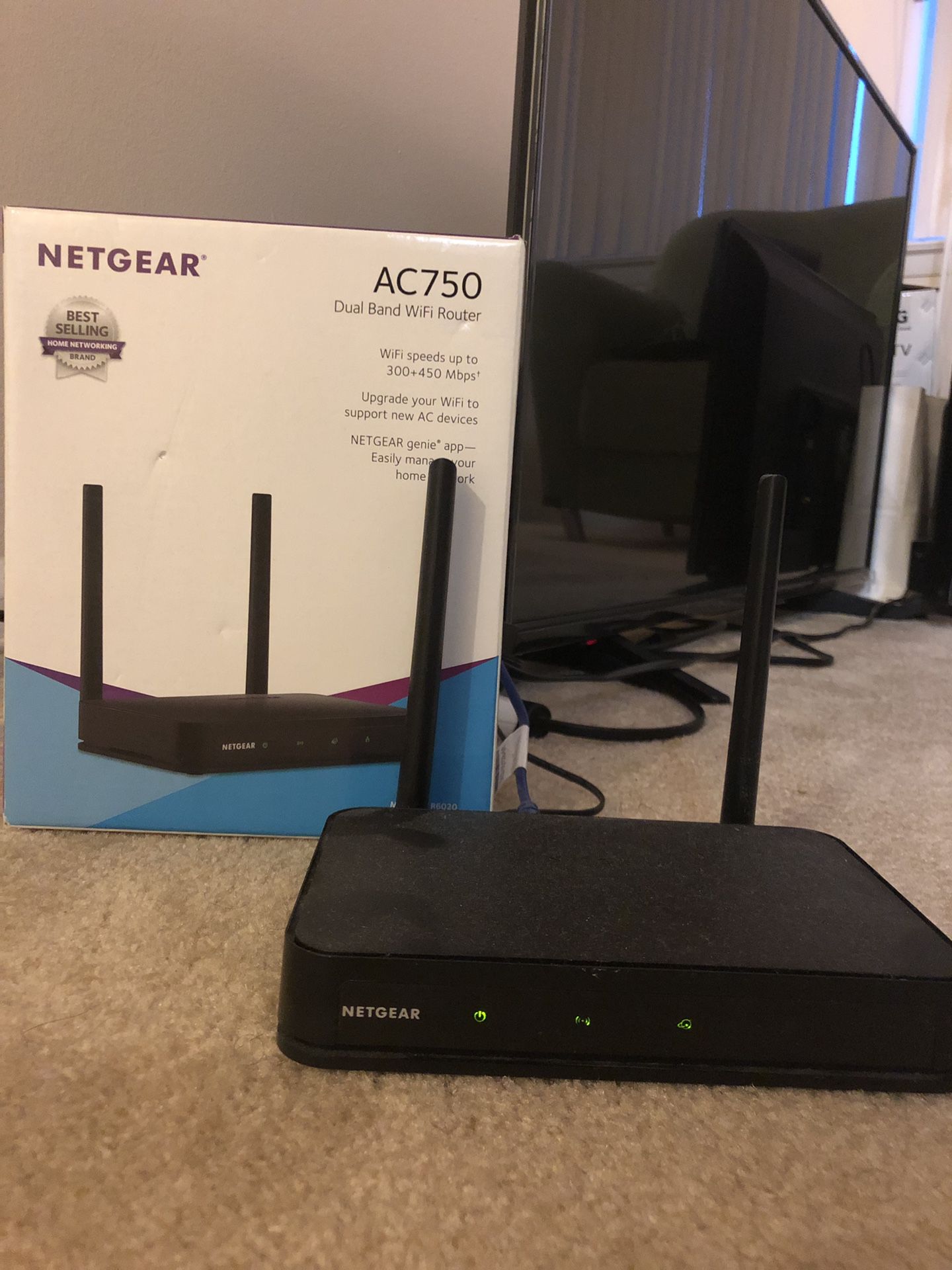 Netgear Router (AC750 Dual Band Wifi Router)