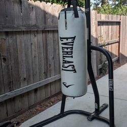 Everlast Punching Bag with Stand