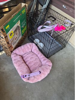 Dog set