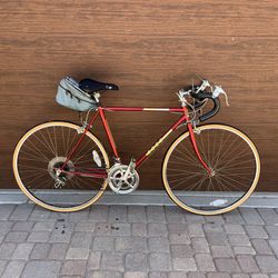 Road Bike (medium)