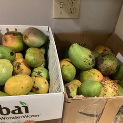 East Indian Mangoes One Box Ready Pickup 40/$10 Downtown Stuart 