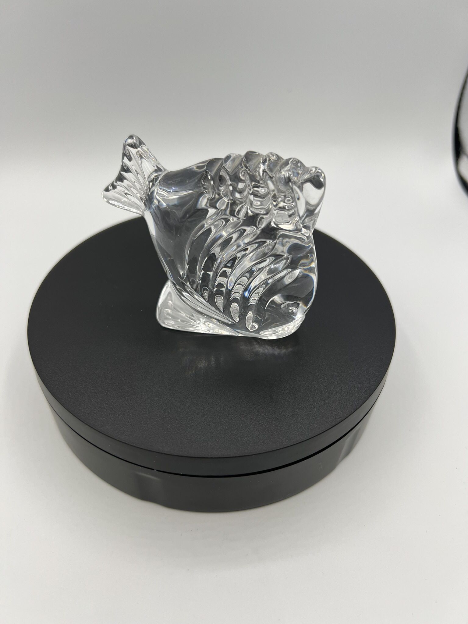 Waterford Crystal Tropical Fish