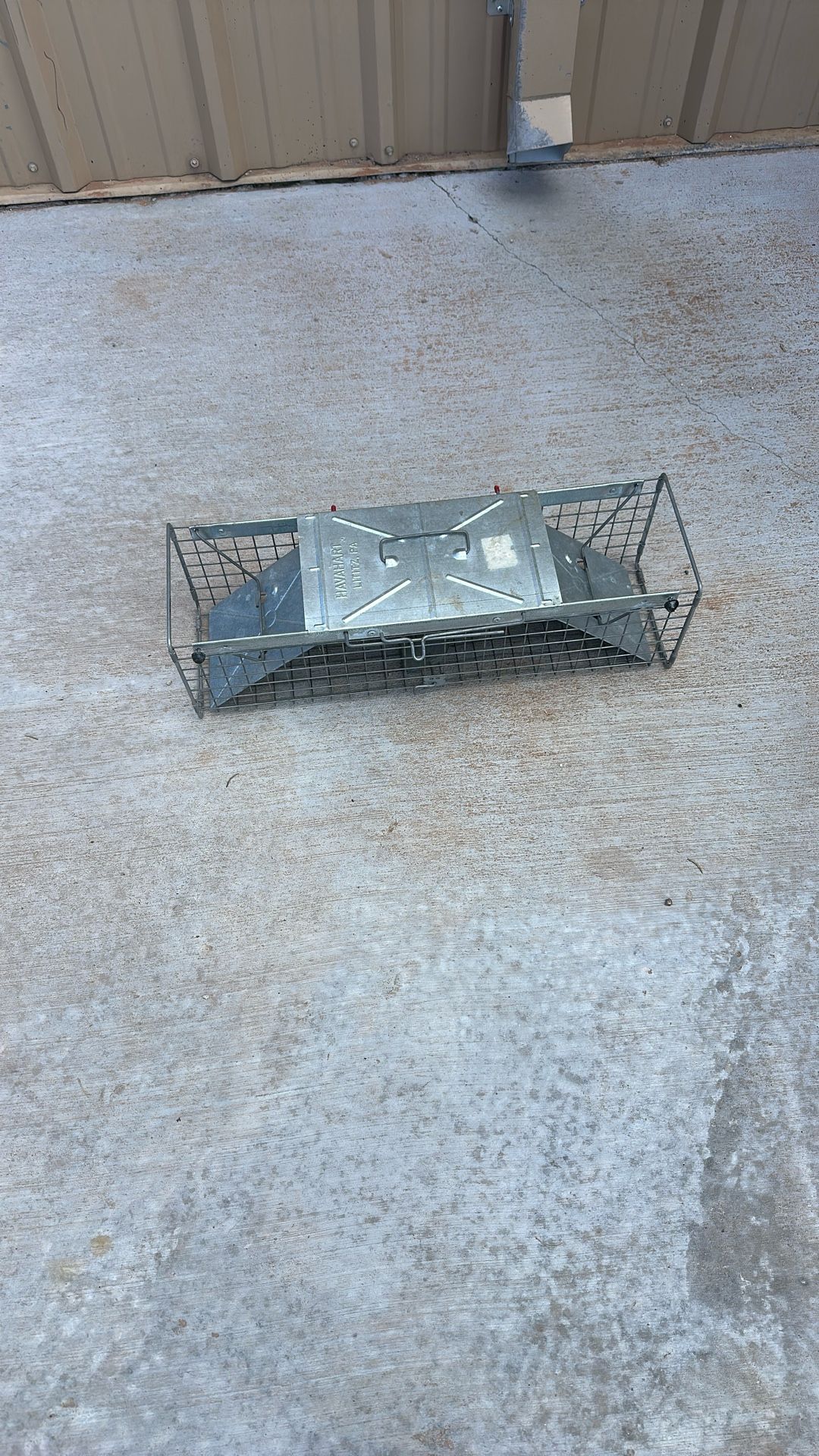 Squirrel rabbit trap