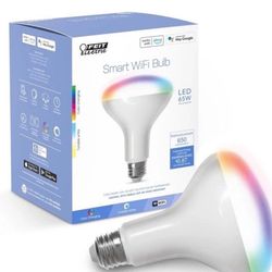 Feit Electric BR30 Smart Flood Light Bulb,2.4GHz WiFi Color Changing and Dimmable, No Hub, Works with Alexa or Google Assistant, BR30/RGBW/CA/AG, 65W,