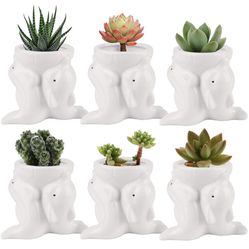 Succluent Pots ,Small Flower Pots Planter Pots with Drinage,Ceramic Cute Animal Mini Dolphin Flowers Pots Planter for Cactus(6 Pack)