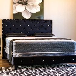 New Queen Size Bed With Mattress For Sale - Cash On Delivery 