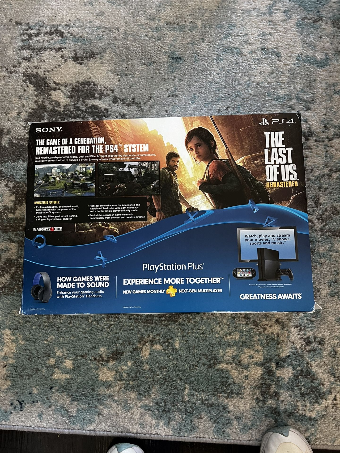 PS4 - Working Game Is Not Included 