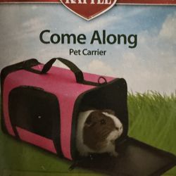 Guinea Pig Supplies  (free) (what’s Pictured Is Whats Available)