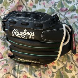 Fast Pitch Softball Glove