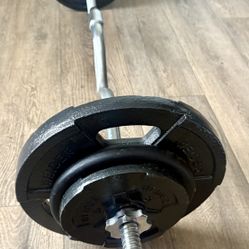 Standard Super Curl Bar with Weider Weight Plates 25s, 10s and 5s. (Total: 98 lbs)    